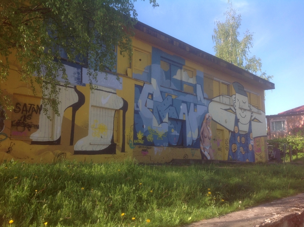 2596.jpg