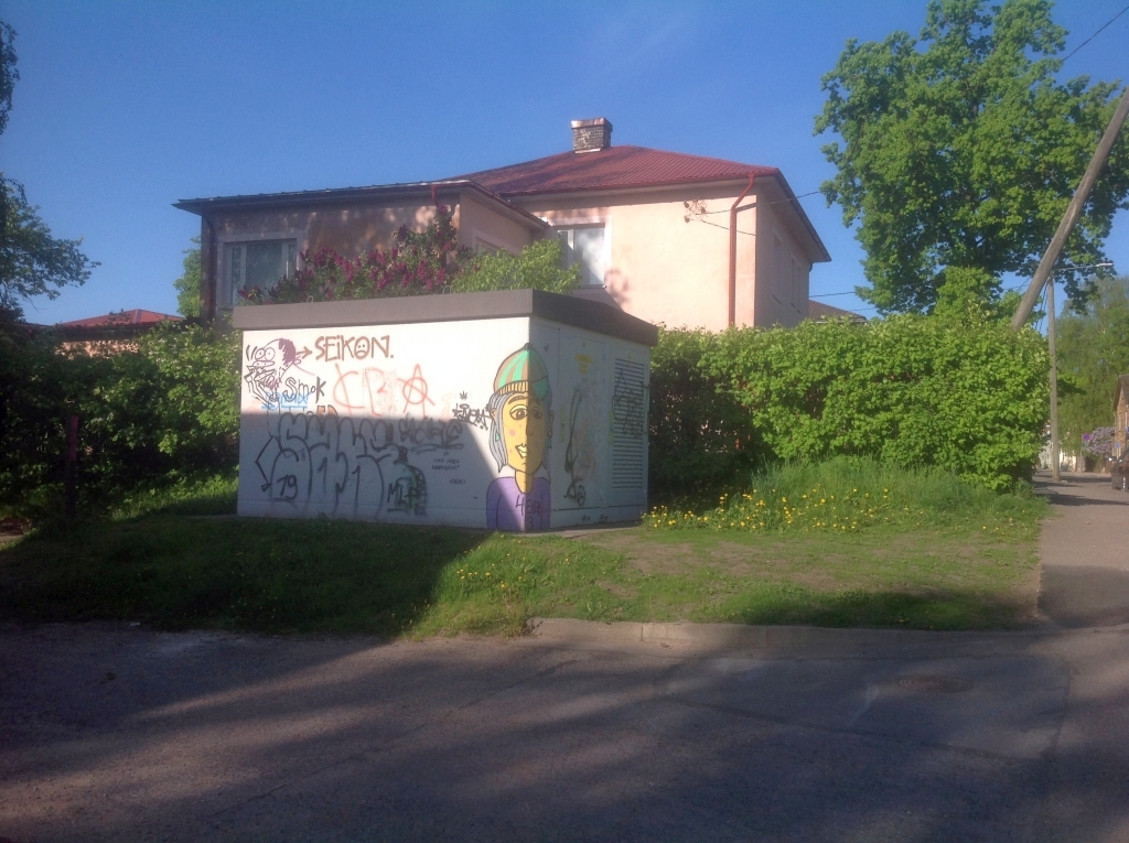 2598.jpg