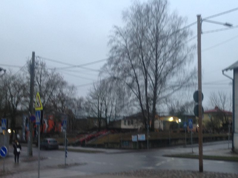 2642.jpg