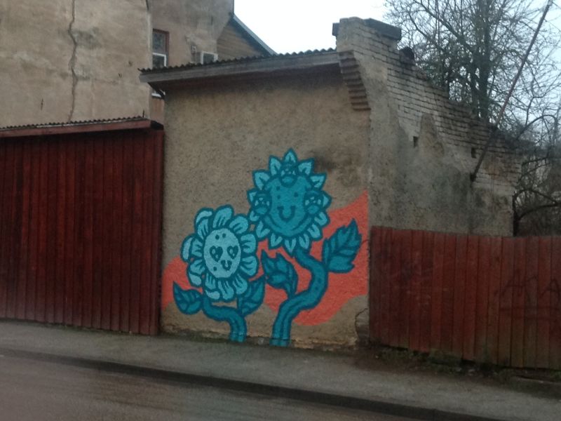 2644.jpg