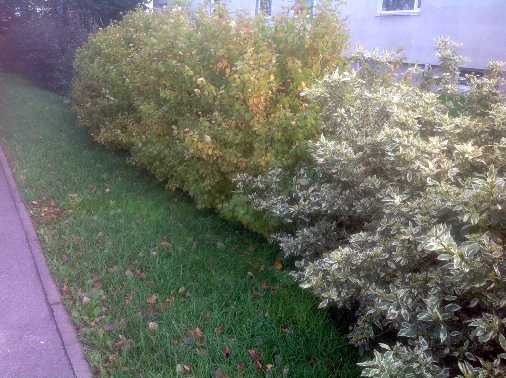01_Kuressaare_3801.jpg