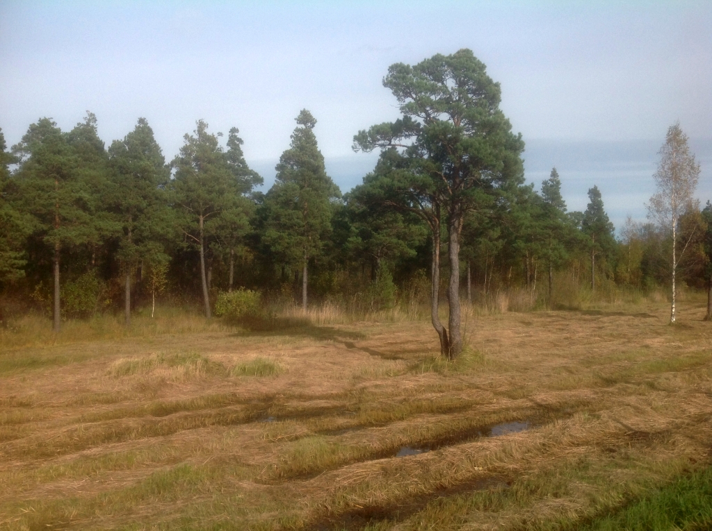 01_Kuressaare_3808.jpg