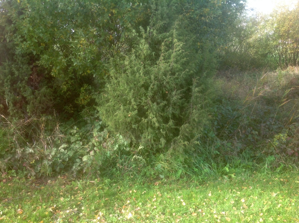 01_Kuressaare_3813.jpg