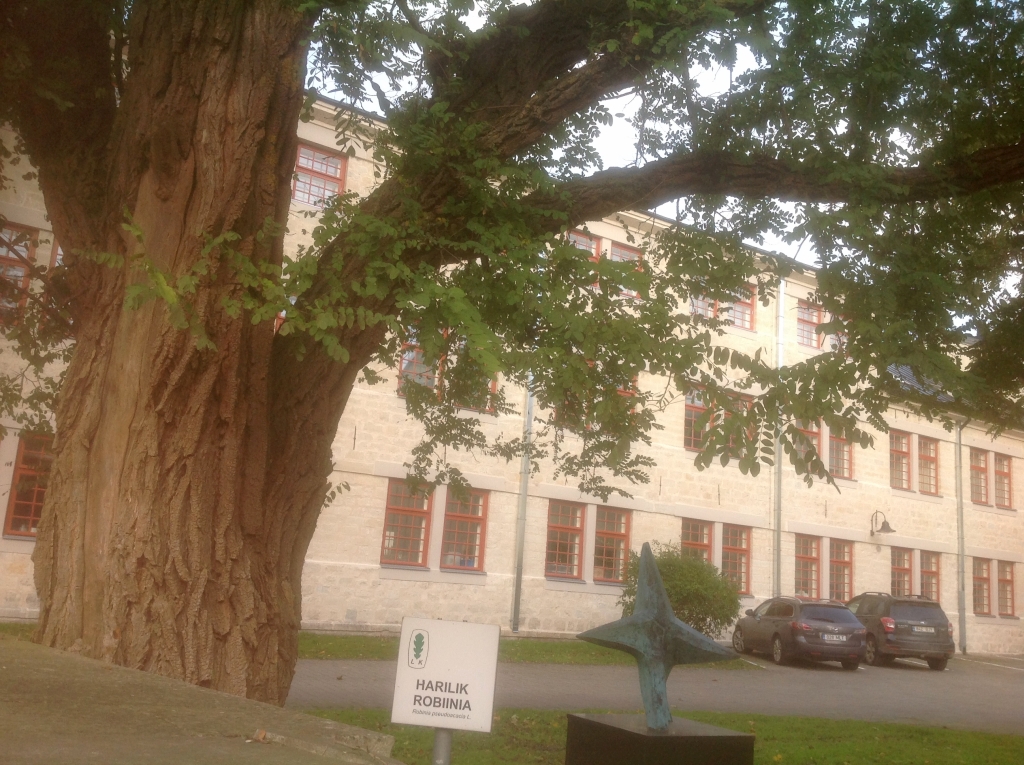 01_Kuressaare_3836.jpg