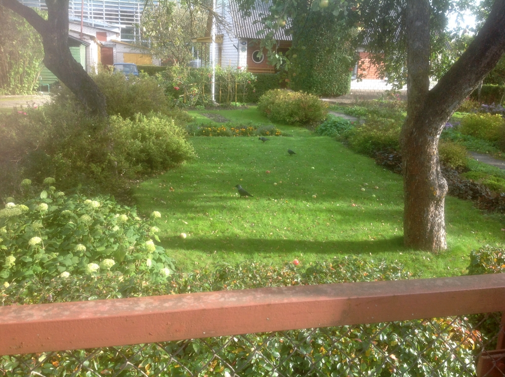 01_Kuressaare_3837.jpg