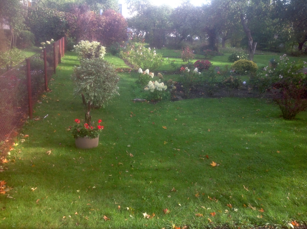 01_Kuressaare_3839.jpg