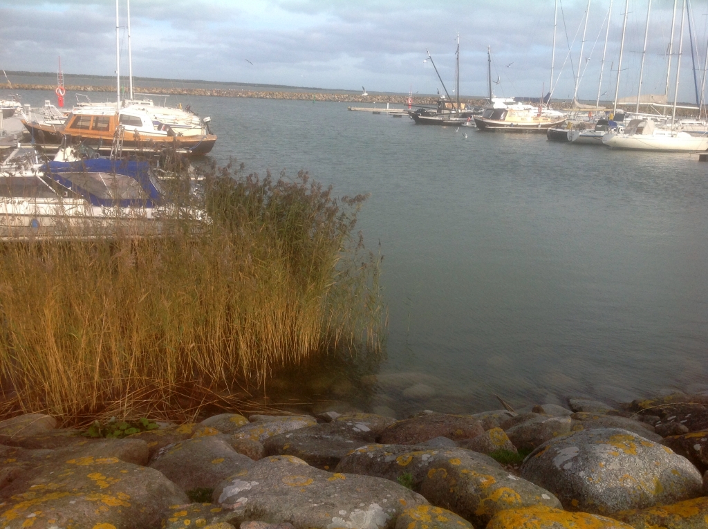 02_Roomassaare_3842.jpg