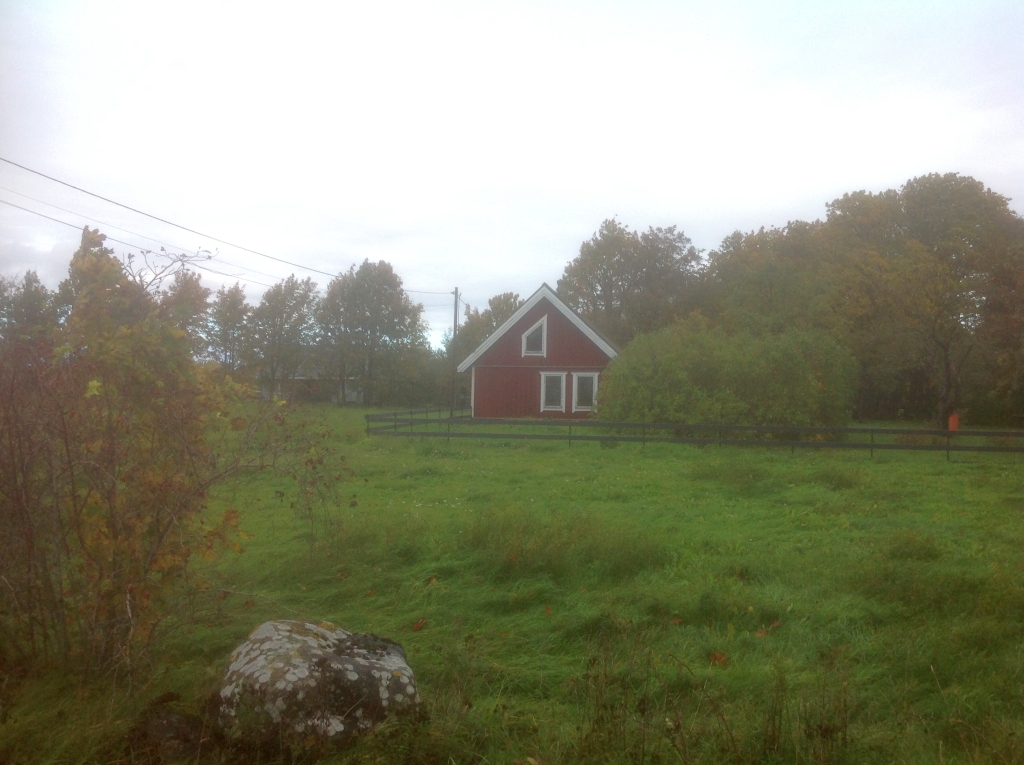 abruka_3847.jpg