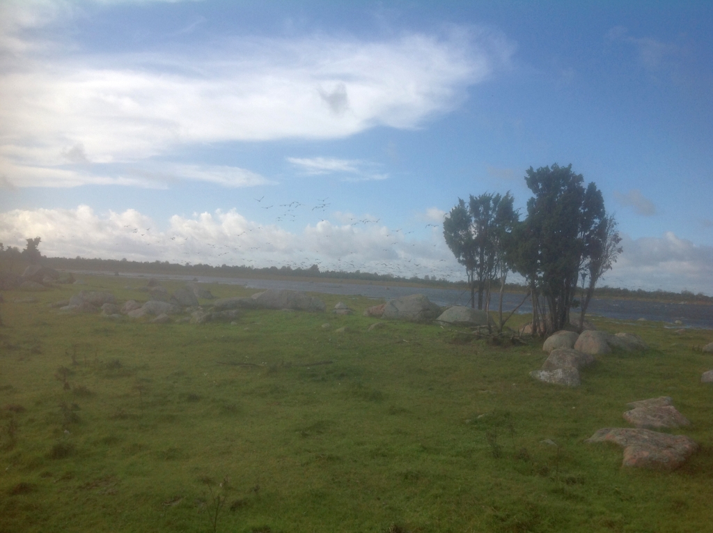 abruka_3858.jpg