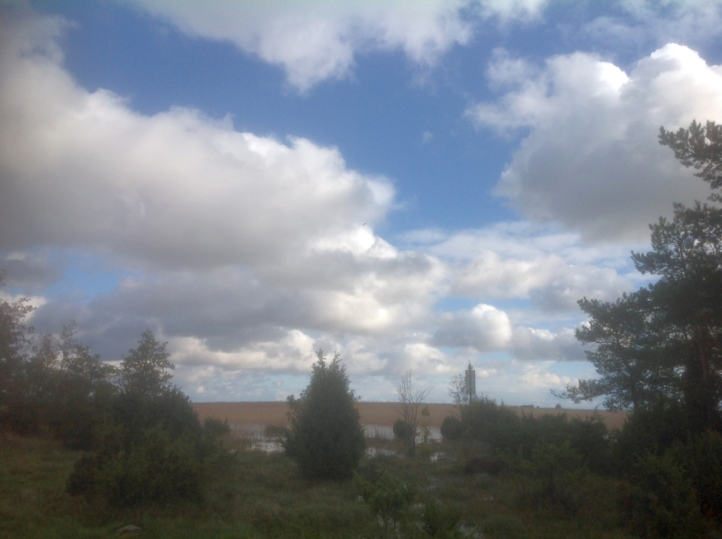 abruka_3876.jpg