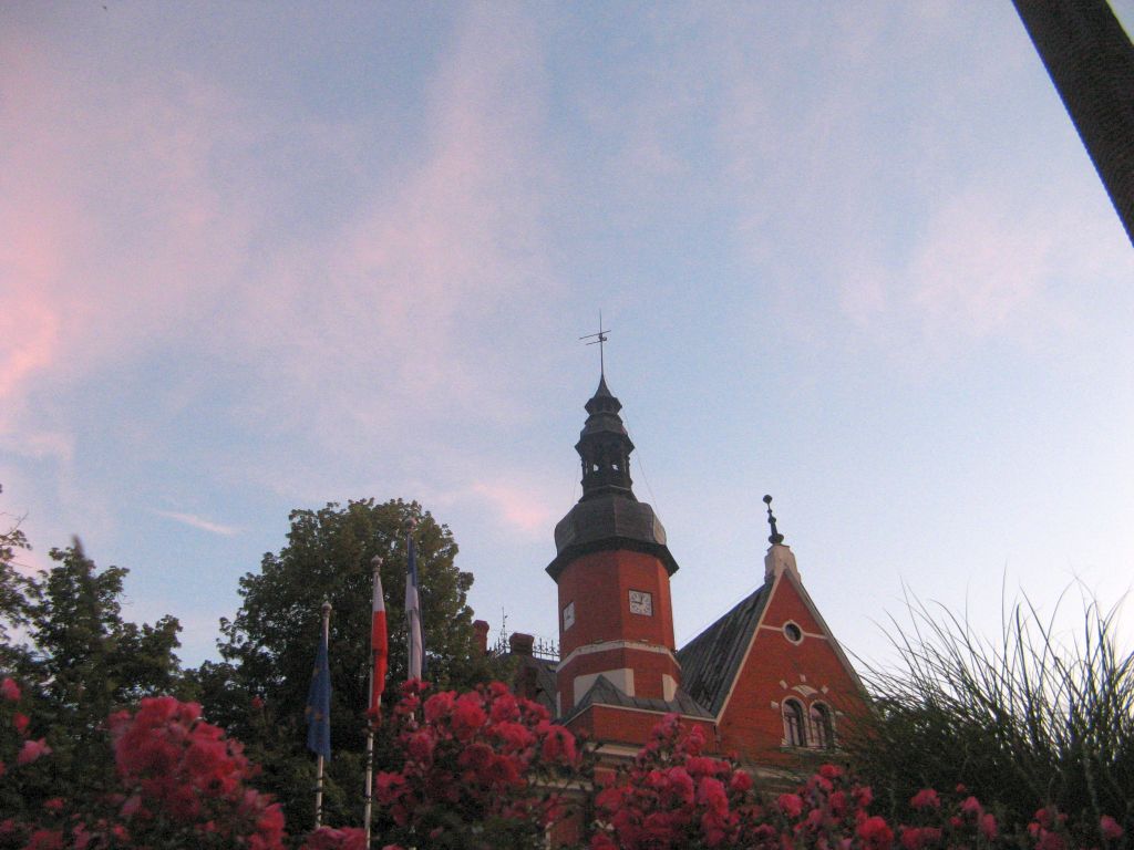 385.jpg