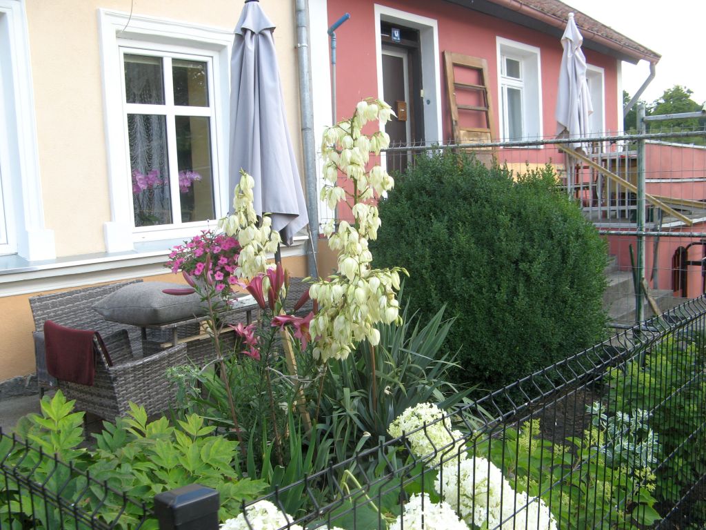 430.jpg