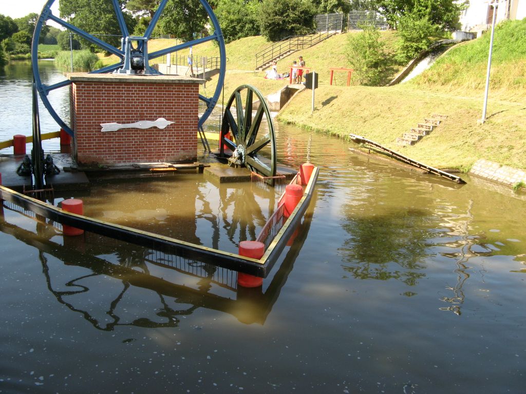 447.jpg