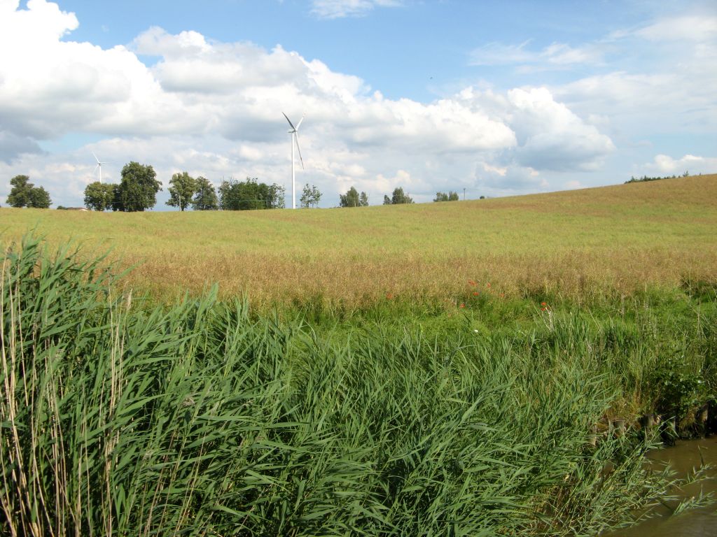 451.jpg