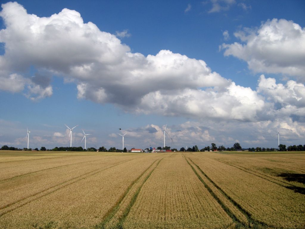 453.jpg
