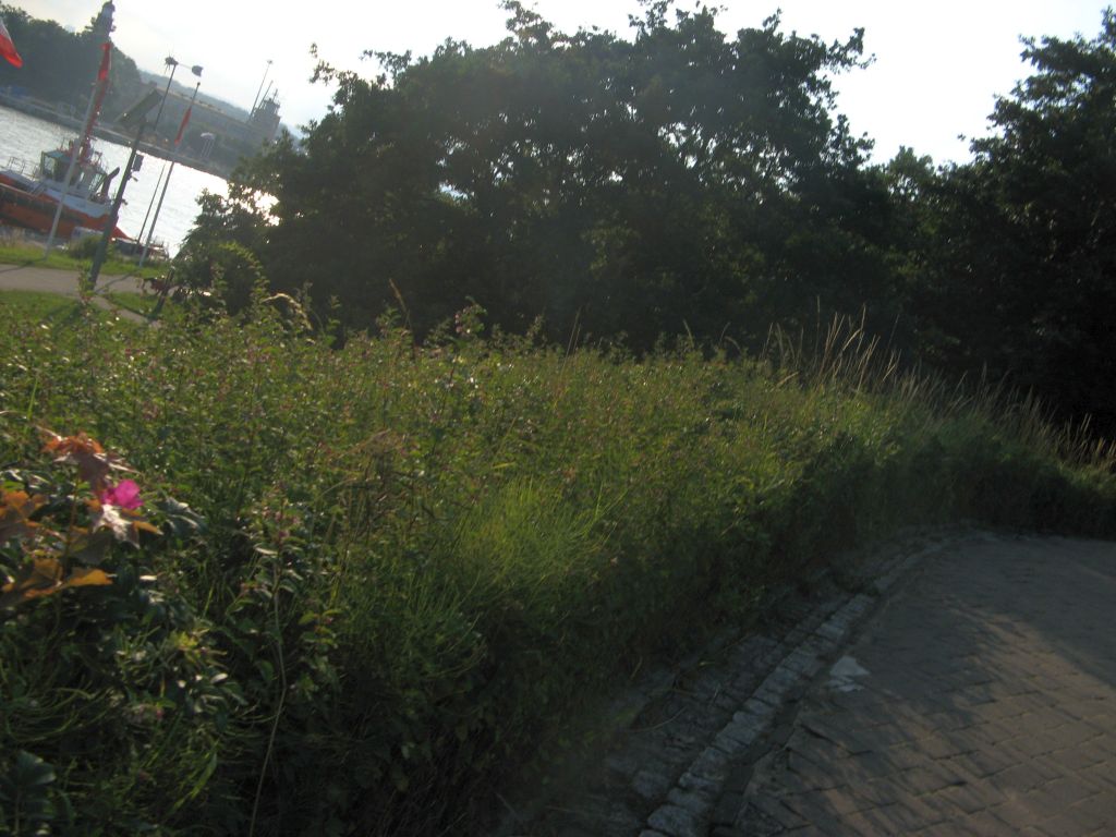 457.jpg