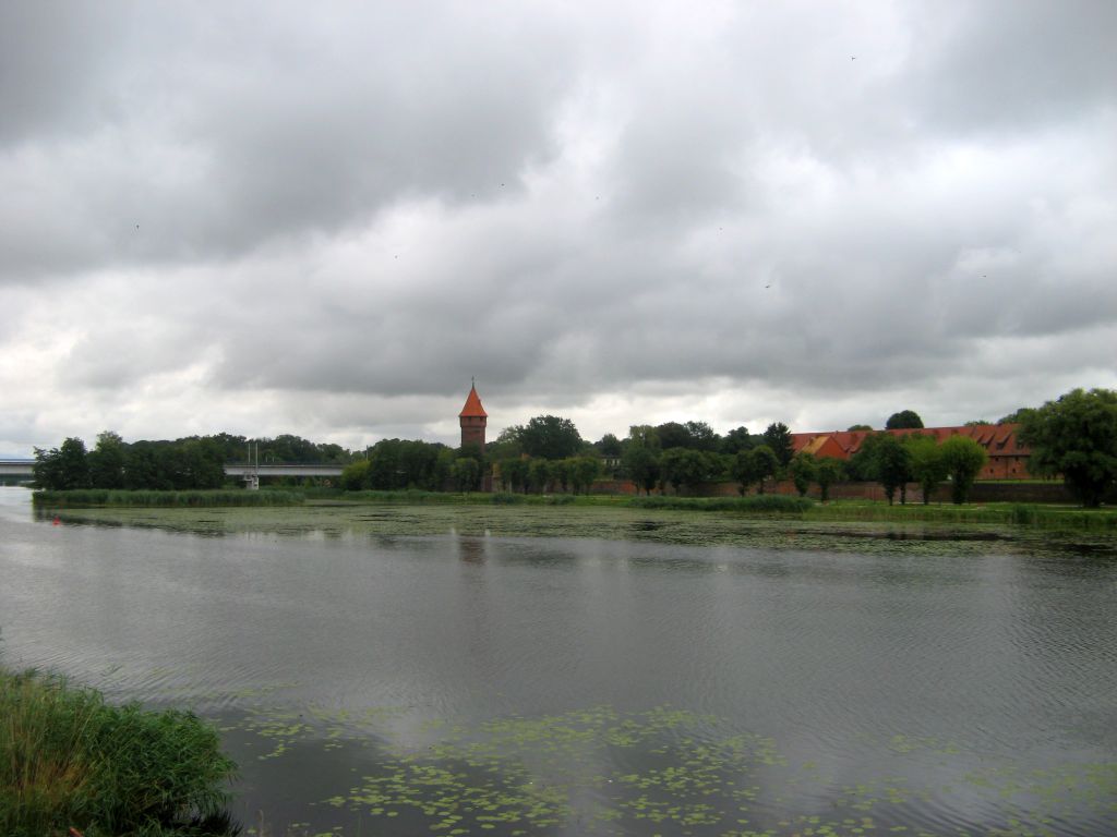 474.jpg