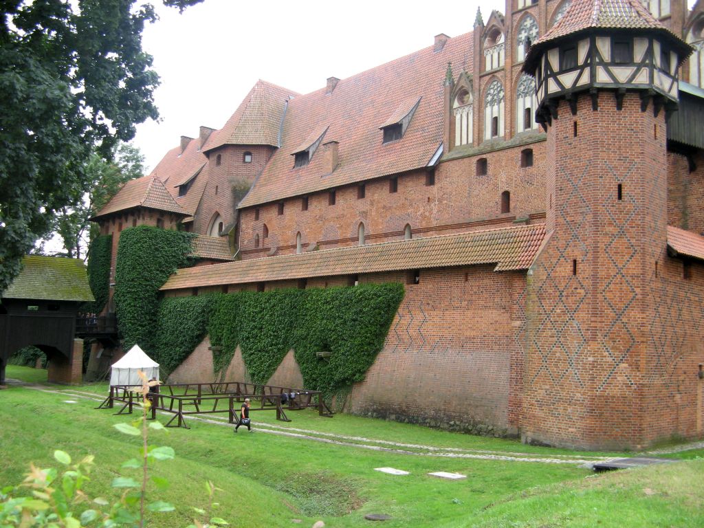478.jpg