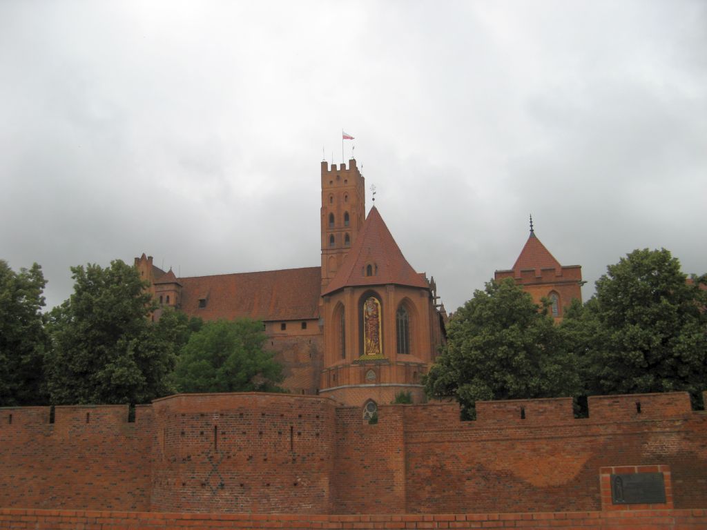 479.jpg