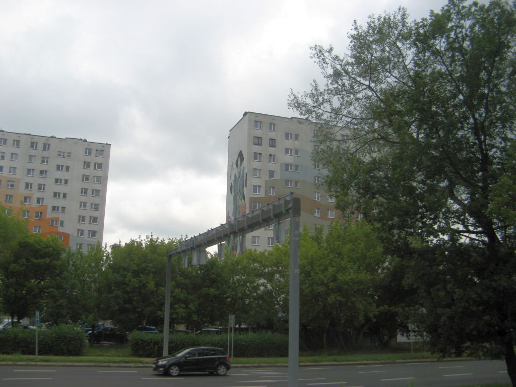 484.jpg