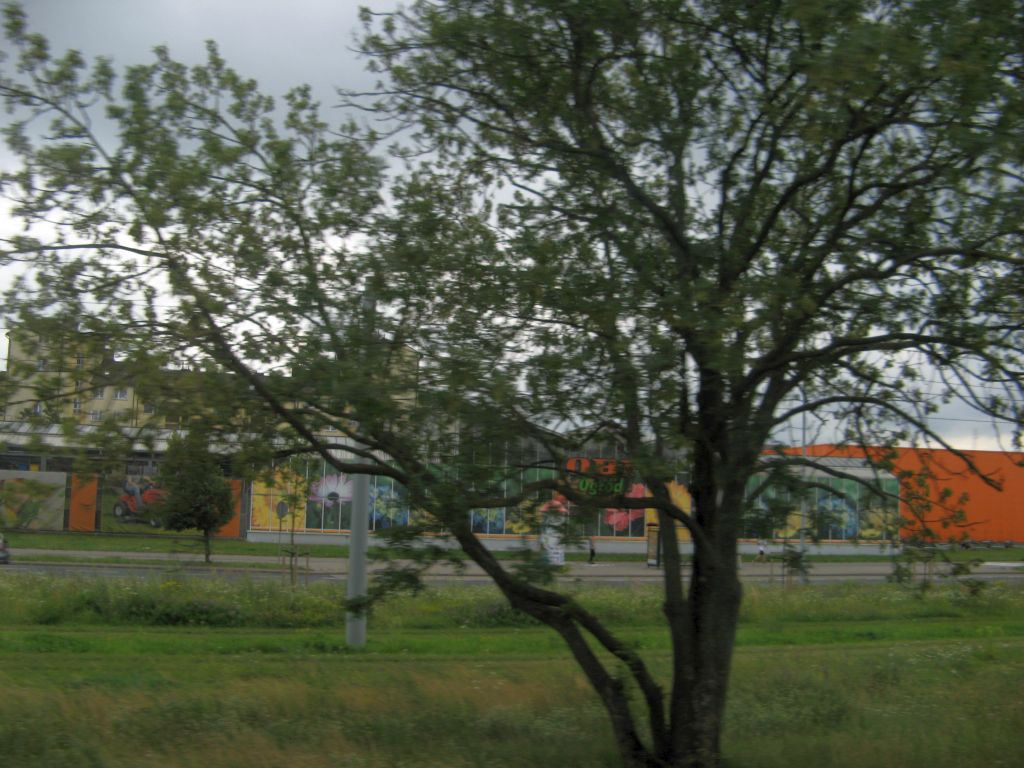 487.jpg