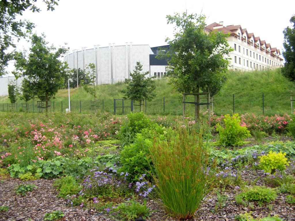 501.jpg