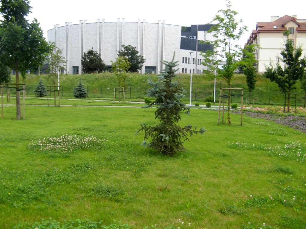 503.jpg