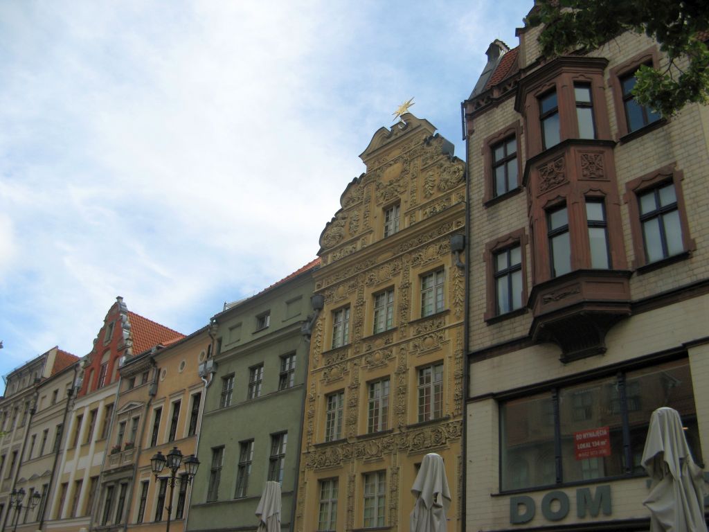517.jpg