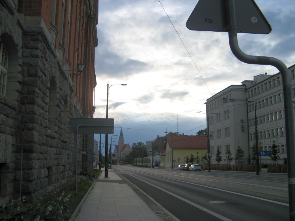 541.jpg