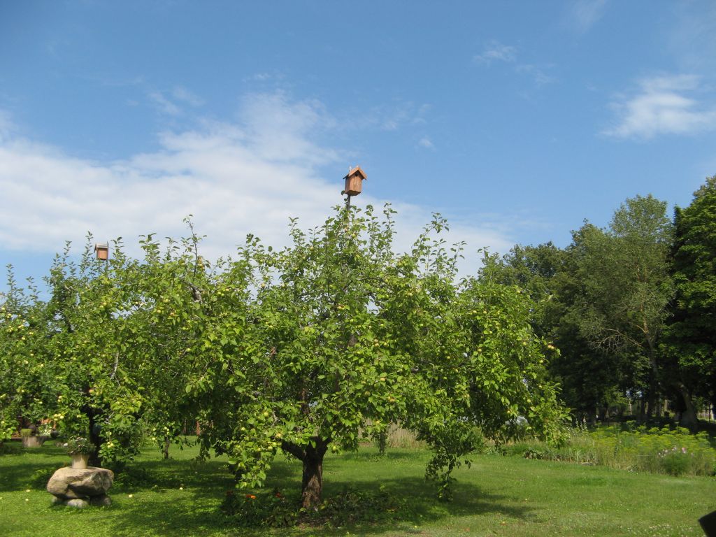 leedu-553.jpg