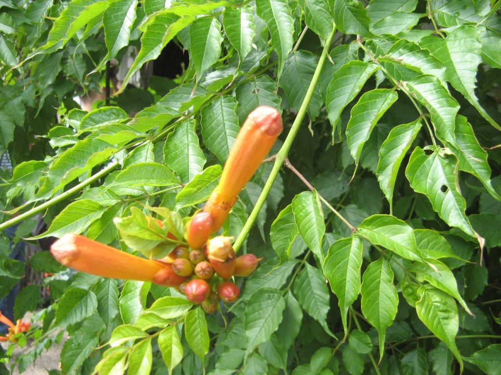 leedu-557.jpg
