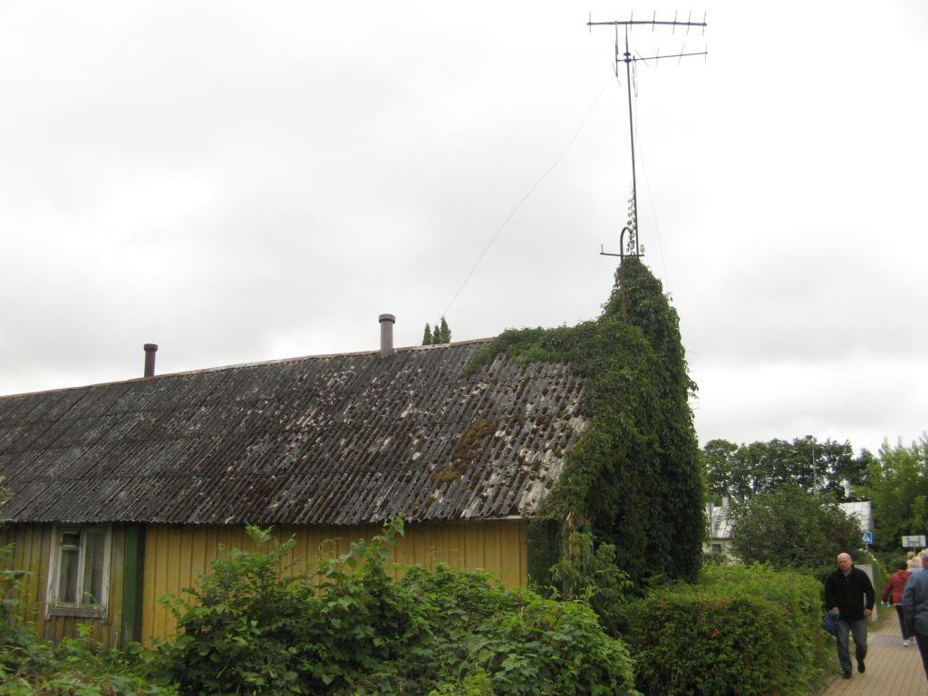 leedu-611.jpg