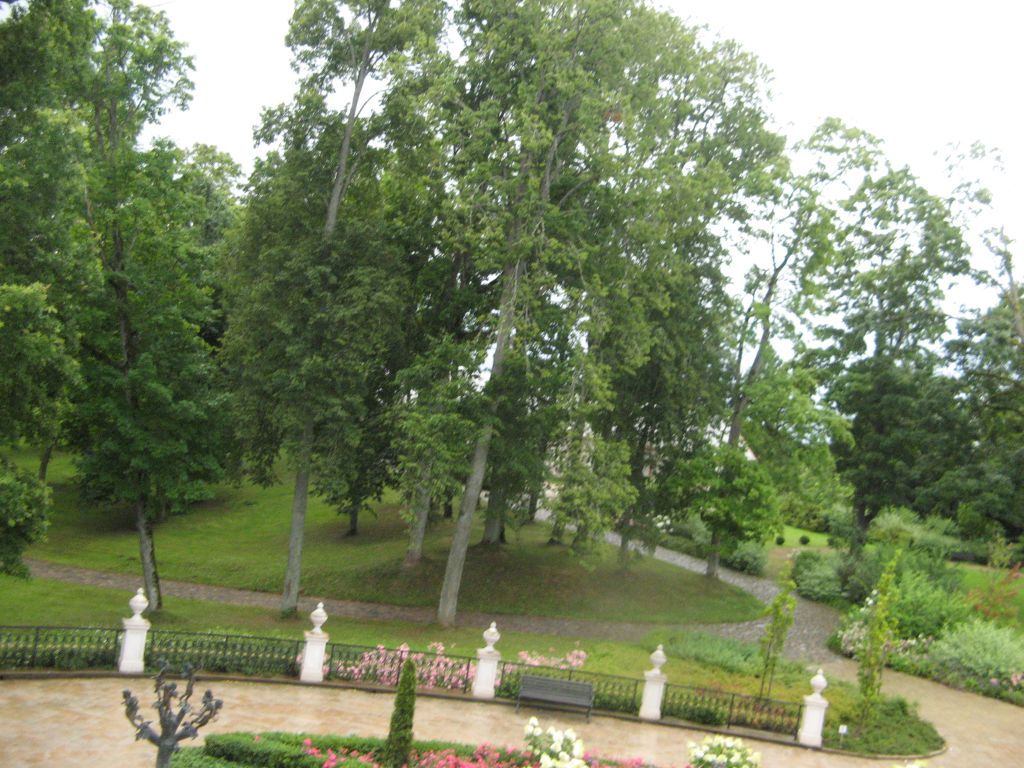 leedu-650.jpg