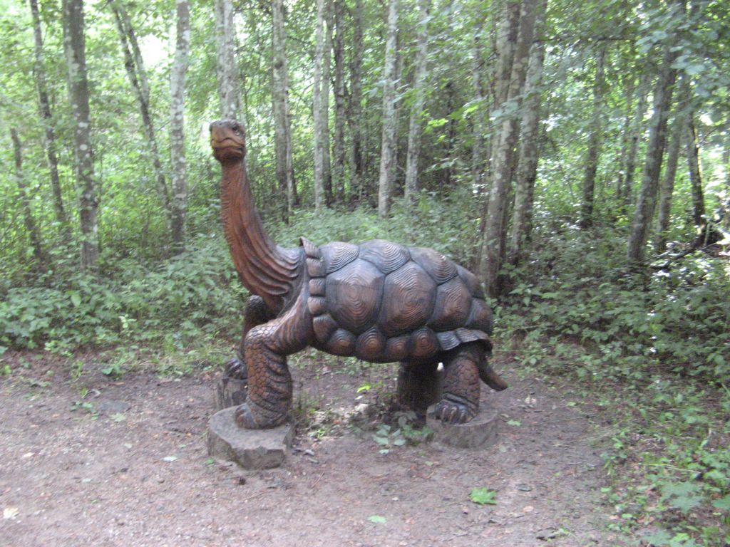 leedu-678.jpg