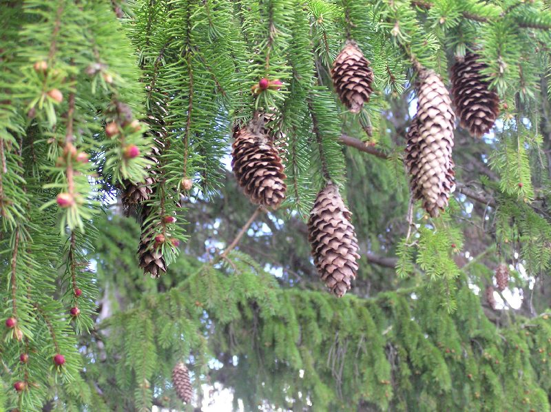P1010022.JPG