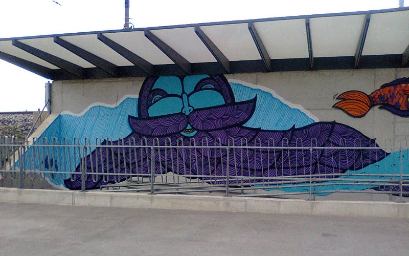 ASI01.jpg