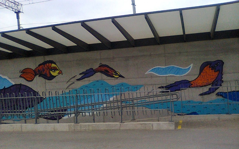 ASI02.jpg