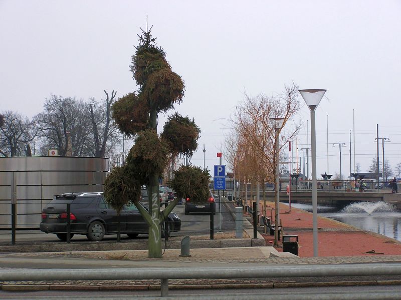 p3270037.jpg