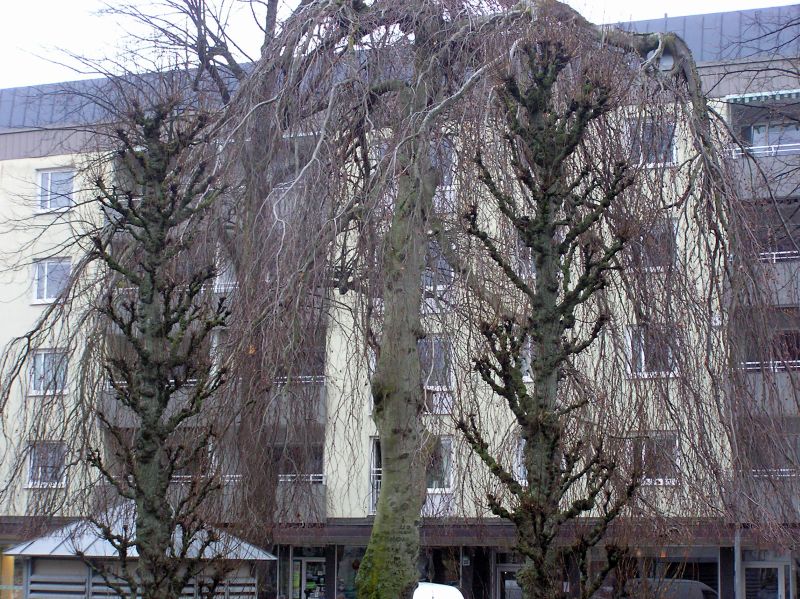 p3270073.jpg