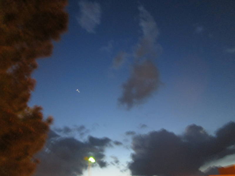 IMG_1704.JPG