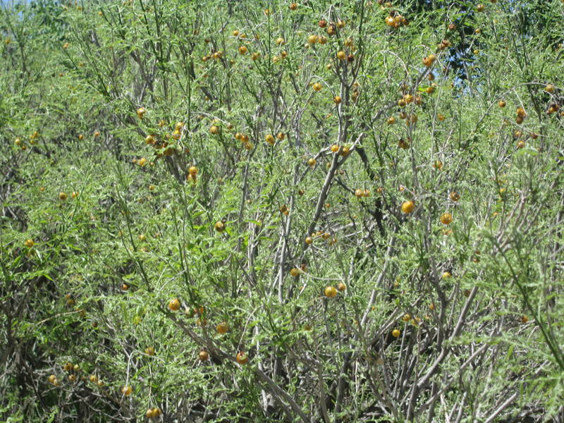 IMG_1748.JPG