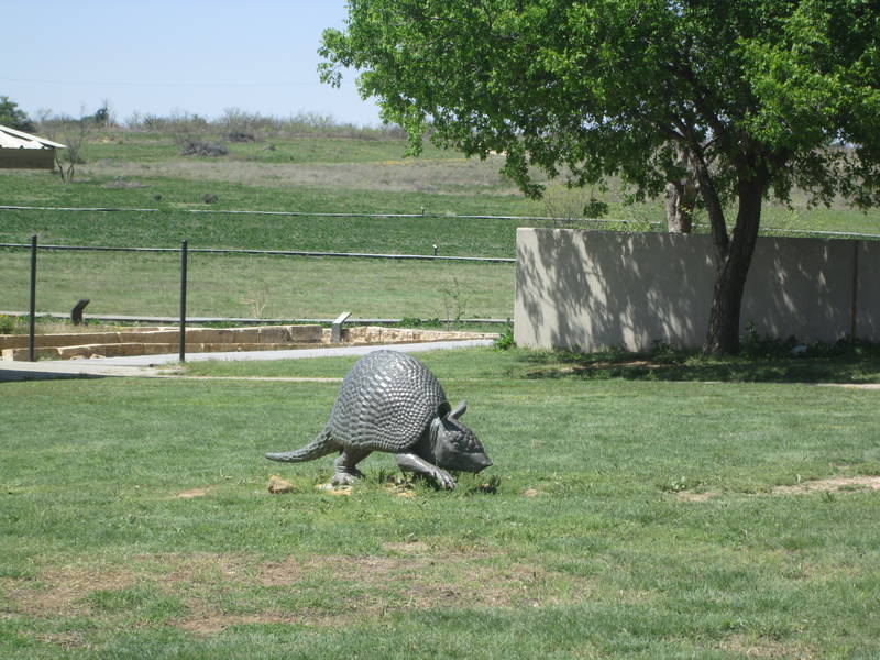 IMG_1781.JPG