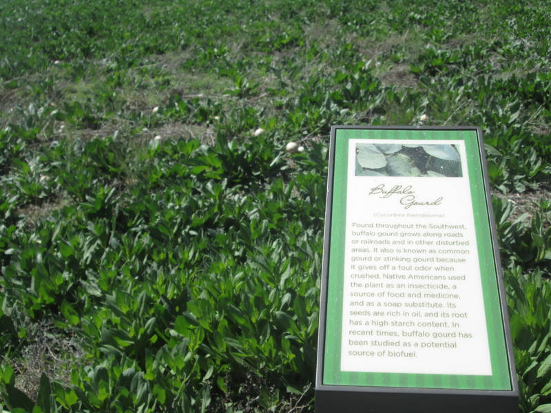 IMG_1791.JPG