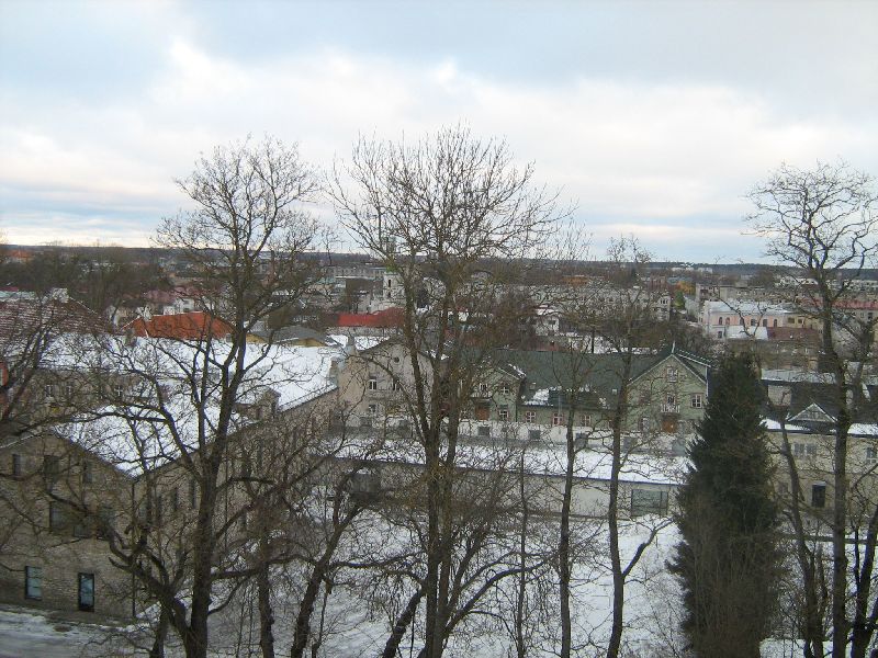 IMG_0042.JPG
