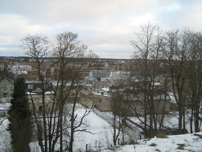 IMG_0043.JPG