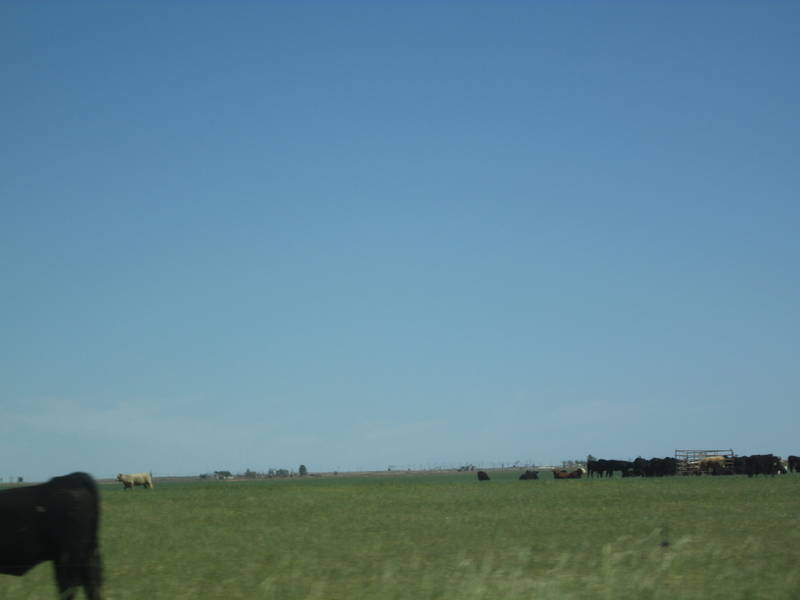IMG_1821.JPG