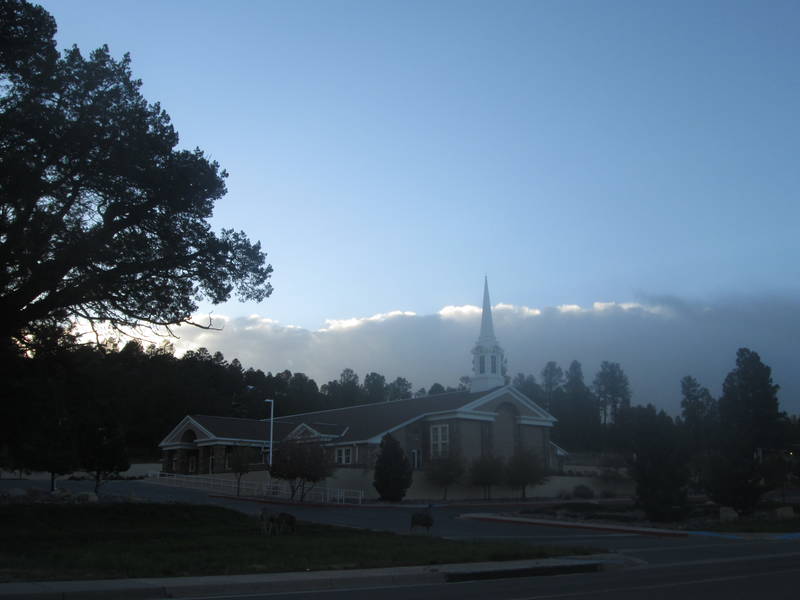 IMG_1884.JPG
