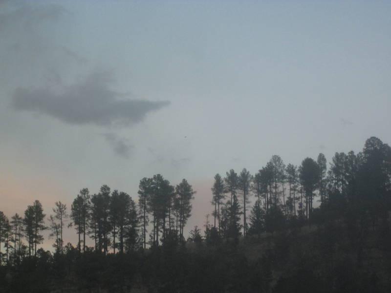 IMG_1893.JPG