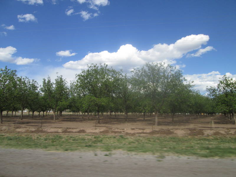 IMG_1949.JPG