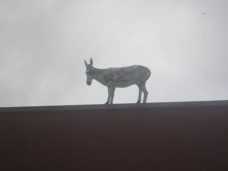 IMG_1998.JPG
